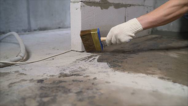 SJ Waterproofing Pros Waterproofing coverage map for Mount Juliet, TN and surrounding area